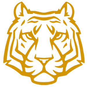 Team Page: Fisher Elementary